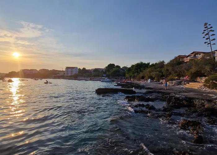 Lavanda Smokvica Mala